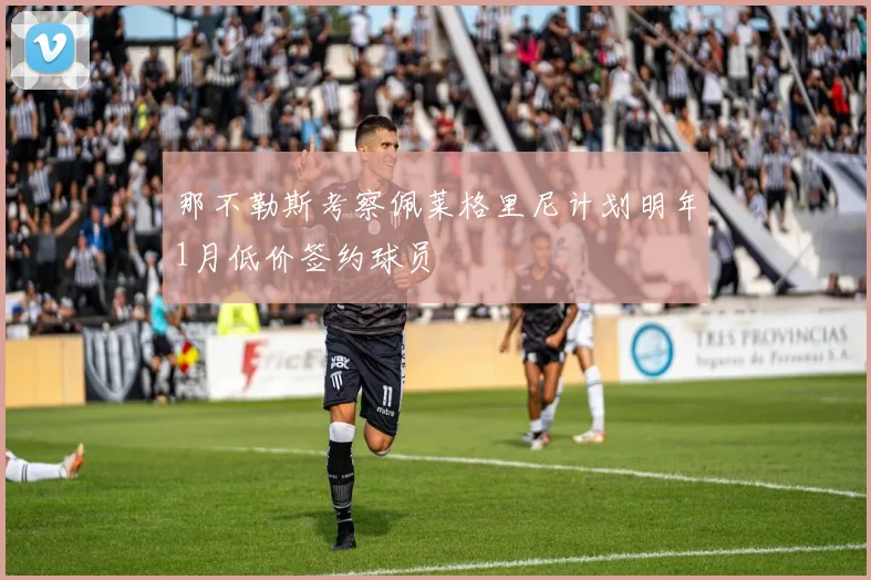 那不勒斯考察佩莱格里尼计划明年1月低价签约球员