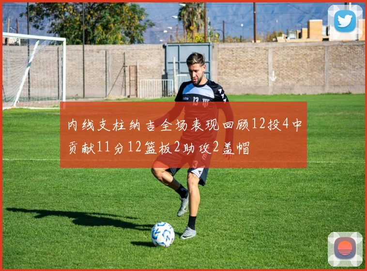 内线支柱纳吉全场表现回顾12投4中贡献11分12篮板2助攻2盖帽